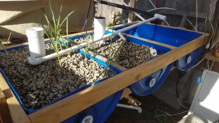 May 2019